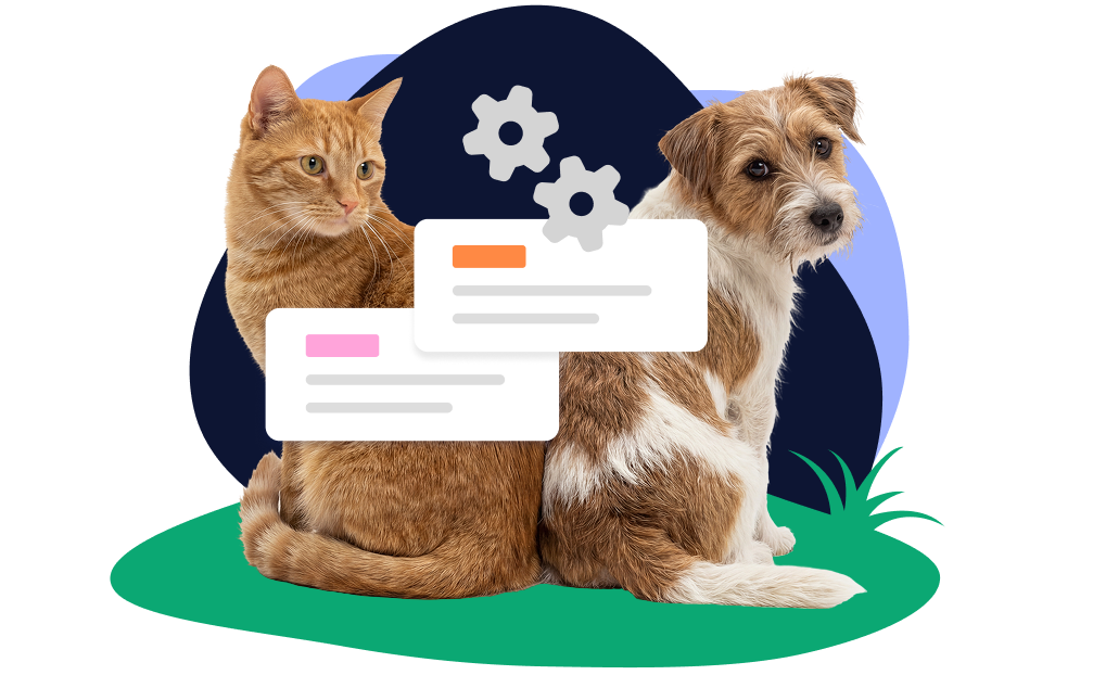 Cat and dog beside pet insurance quote cards, showing how we compare pet insurance quotes.